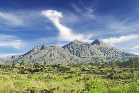 Bali : rizières en terrasses d'Ubud, temples et volcan