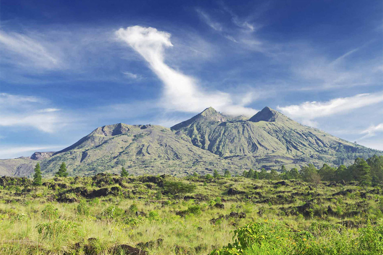 Bali : rizières en terrasses d'Ubud, temples et volcan