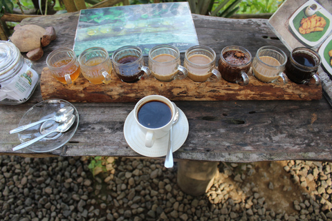 Bali : rizières en terrasses d'Ubud, temples et volcan