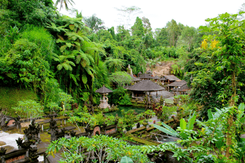 Bali: tour alle terrazze di riso di Ubud, templi e vulcano