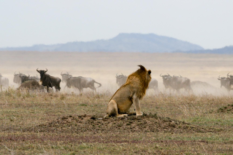 4 Days Tanzania Private Family Safaris