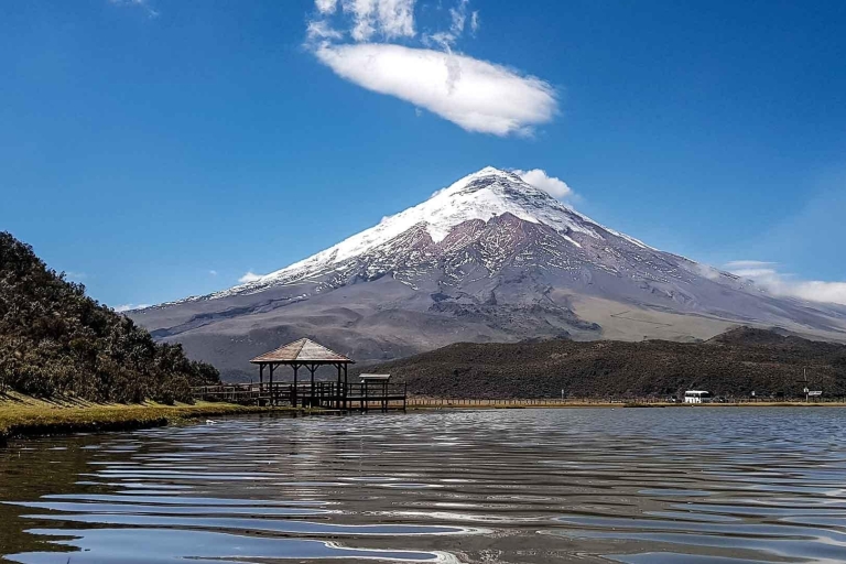 From Quito: Cotopaxi and Baños Tour in One Day-All Included From Quito: Cotopaxi and Baños Tour Private - In One Day