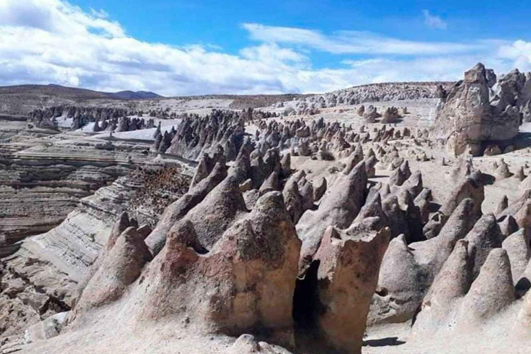 Hele dag Pillones waterval en rotsbos