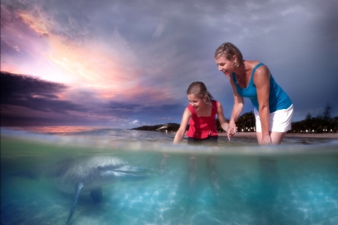 Moreton Island: dagcruise voor het voeren van dolfijnen in TangaloomaWoestijnsafari-tour met dagcruise voor het voeren van dolfijnen
