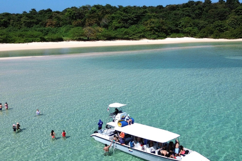 Panama City: Experience the best whale watching in Las Perlas Panama City: Experience the Best Whale Watching in Las Perlas