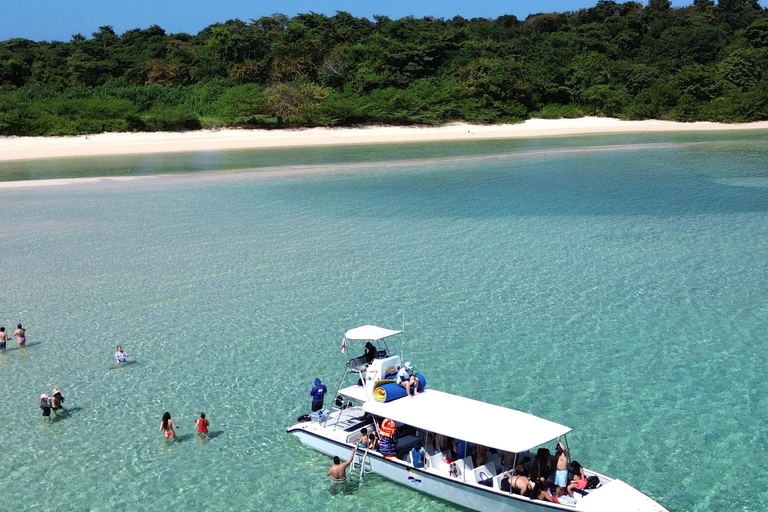 Panama City: Experience the best whale watching in Las Perlas Panama City: Experience the Best Whale Watching in Las Perlas
