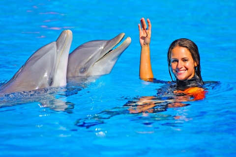 Algarve Zoomarine Ticket and Dolphin Emotions Experience Dolphin Emotions Exclusive - Private for 2 (8 years old+)