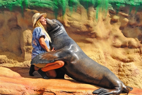 Algarve : billet pour le parc Zoomarine et Dolphin EmotionsExpérience Dolphin Emotions Premium (pour les plus de 8 ans)