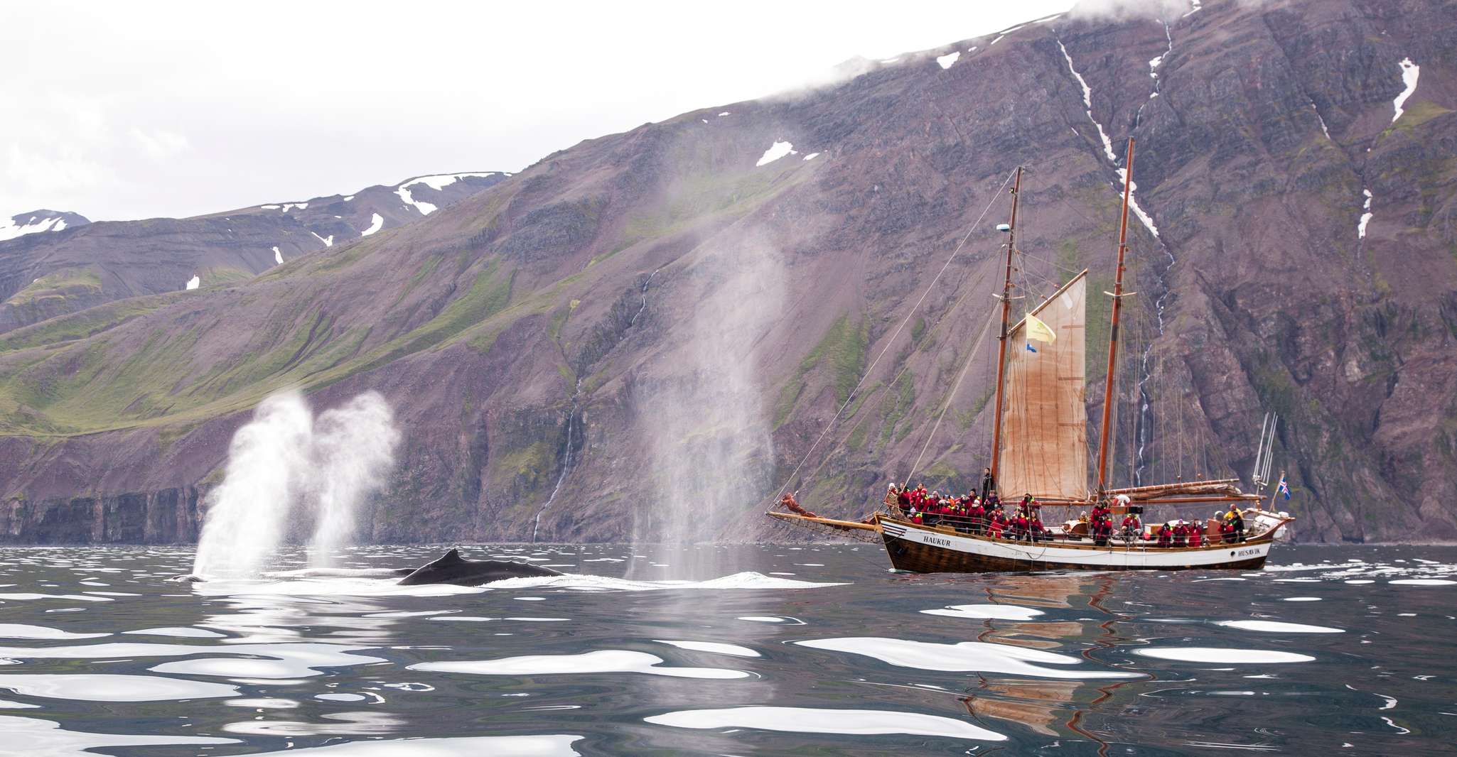 Húsavík, Observation des baleines par bateau à voile traditionnel en bois - Hizvo