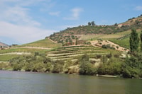 Pinhão, 2-Hour Rabelo Boat Tour with Audio Guide - Housity