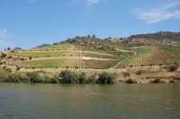 Pinhão, 2-Hour Rabelo Boat Tour with Audio Guide - Housity