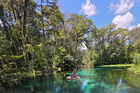 Silver Springs: Silver River GoBoat Rental GoBoat Single Two Hour Rental
