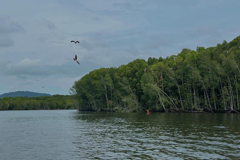 Langkawi: Private Kilim Mangrove Boat Tour & Two Face Beach