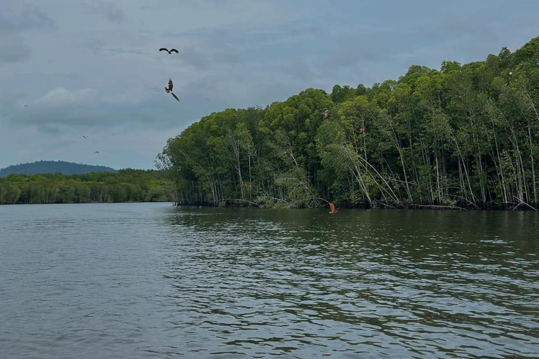 Langkawi: Private Kilim Mangrove Boat Tour & Two Face Beach