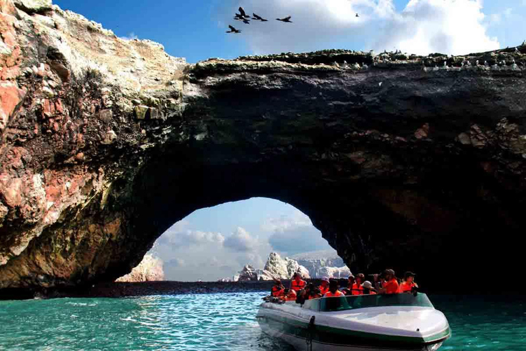 From Lima: Full-Day Paracas, Ica & Huacachina Adventure
