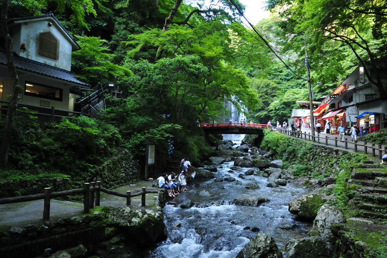 Minoo Park: guidad naturvandring