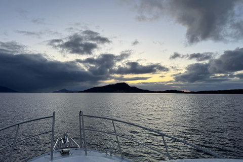 Bergen: Sea Safari with fishing and hauling of crab pots