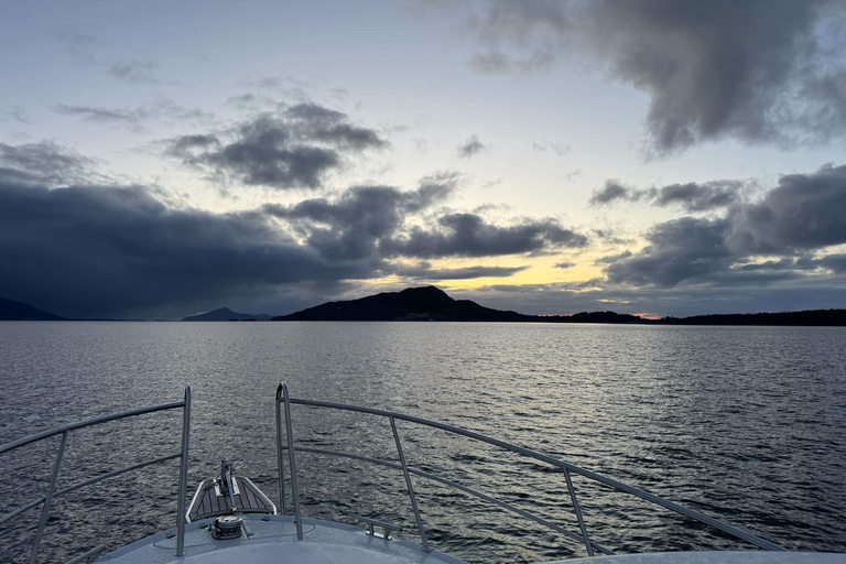 Bergen: Sea Safari with fishing and hauling of crab pots