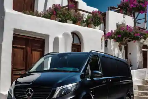 Servizio di smaltimento Mykonos: mezza giornata con autista privato e mini van