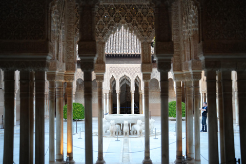 Motril: Alhambra Shore Excursion with Guide Private Tour