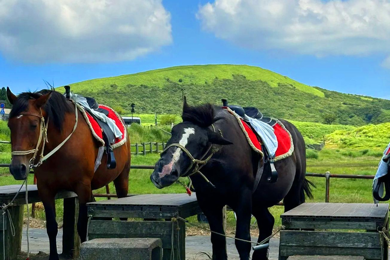 Fukuoka: Mt. Aso Volcano, Kusasenri & Grasslands Day Tour 7:40 Hakata Station Chikushi Exit Lawson Meetup