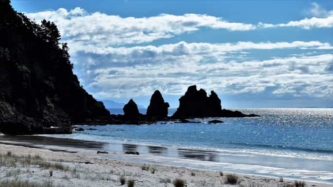 from whitianga beaches of coromandel with lunch