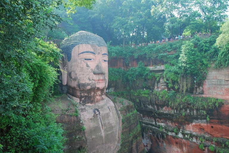 Excursion d&#039;une journée dans la région panoramique du Grand Bouddha de Leshan et dans le parc des pandas