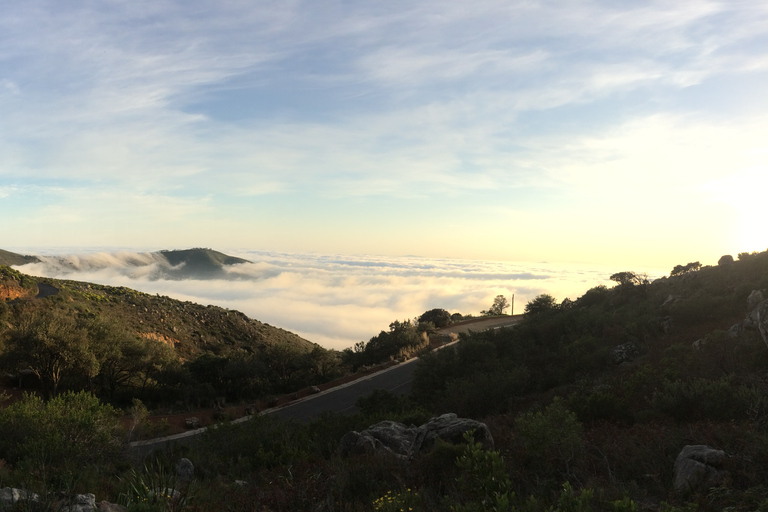 Cape Town: 2-Hour Table Mountain Hike via Platteklip Gorge