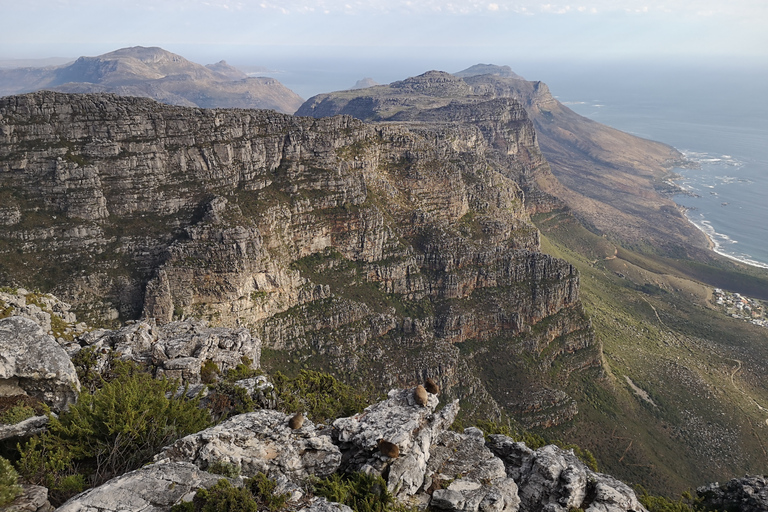 Città del Capo: escursione di 3 ore alla Table Mountain attraverso la gola di PlatteklipTable Mountain: escursione di 2 ore alla gola di Platteklip