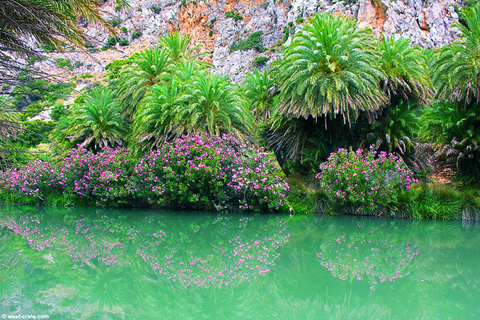 From Rethymno/Chania: Day Trip to Preveli Palm Beach Tour from Chania