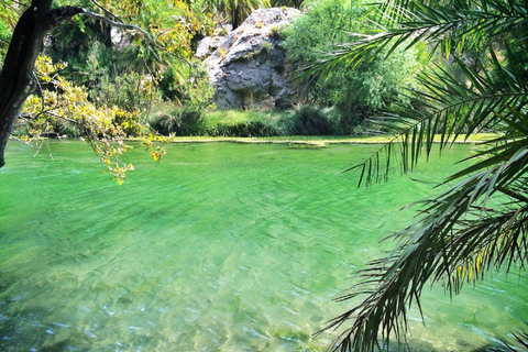 Da Retimo/La Canea: escursione alla spiaggia delle palme di PreveliTour da La Canea