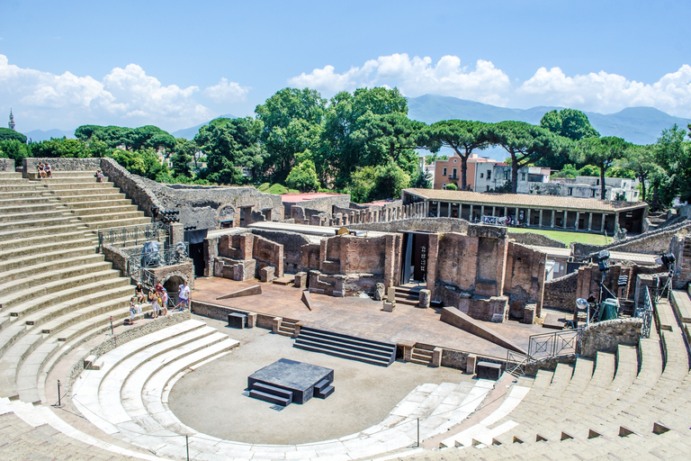 Desde Roma: tour con audioguía de las ruinas de Pompeya