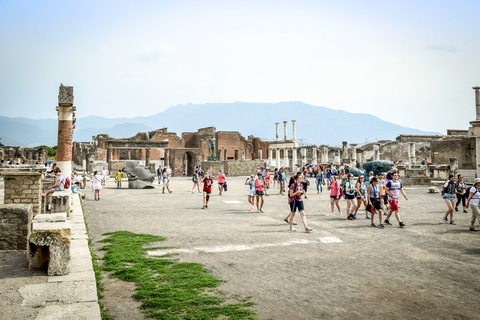 Från Rom: Dagstur till Pompeji med audioguide