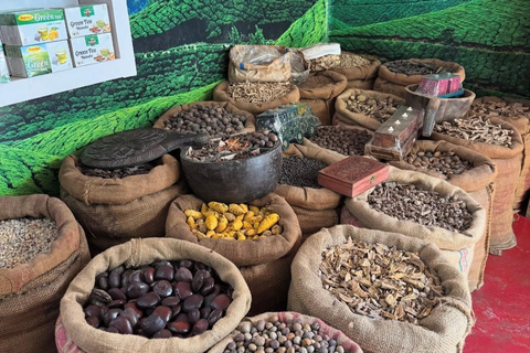 Kochi: Fort kochi Heritage Tour with Hotel Transfer