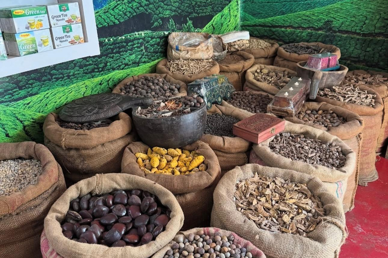 Kochi: Fort kochi Heritage Tour with Hotel Transfer