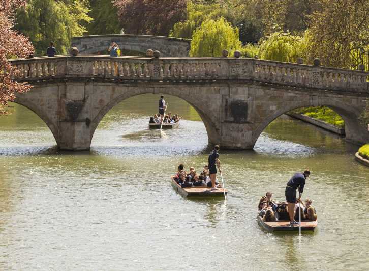 cambridge guided punting tour