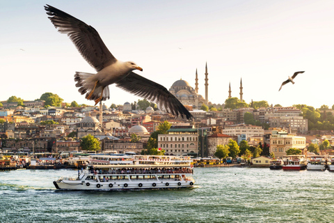 Istanbul: True Discovery Full-Day Tour en Cruise