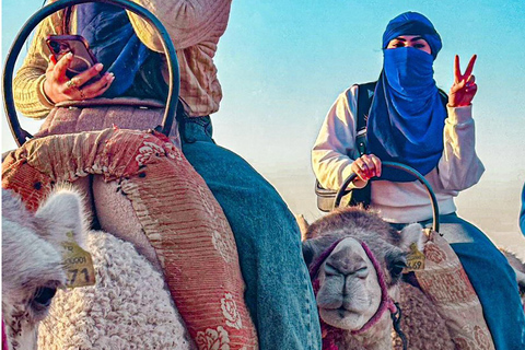 Marrakech: Agafay woestijn Quad &amp; kamelenritten met dinnershow