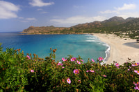 4x4 Agriates Desert and Beach Excursion from Calvi - Hizvo