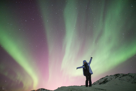 Desde Tromsø: Excursión a la Aurora BorealDesde Tromsø: Excursión a la Aurora Boreal con todo incluido