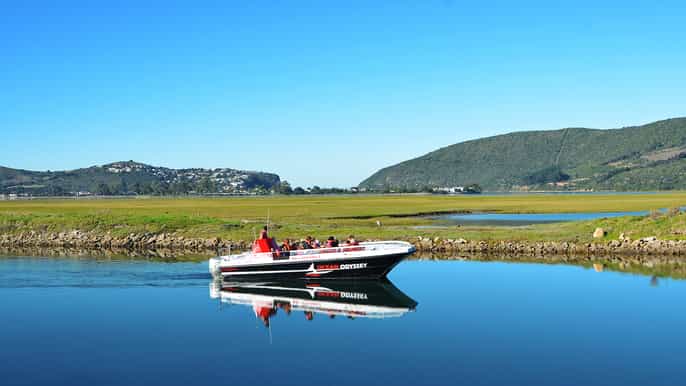cabeças de knysna e aventura do estuário