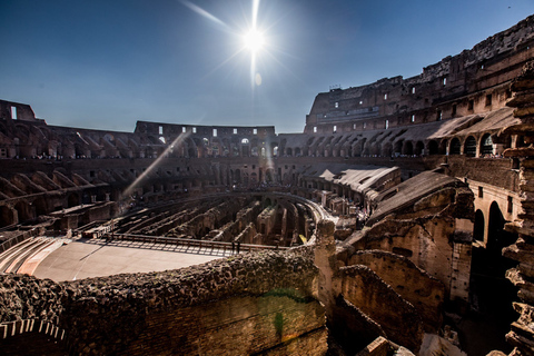 Rom: Colosseum med snabbkö – en timmes rundturRundtur på engelska