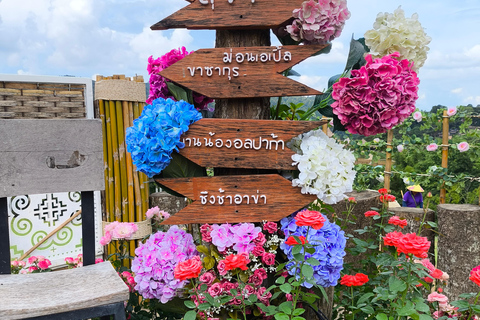 Chiang Mai: Pro Private Driver Service with Custom Itinerary