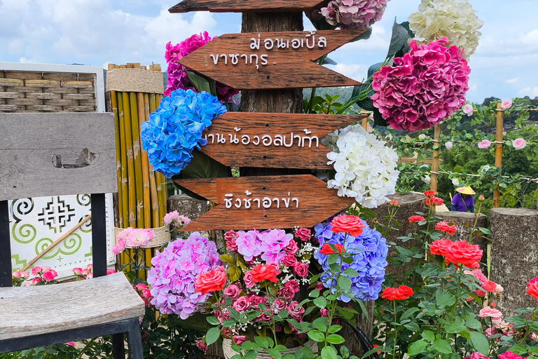 Chiang Mai: Pro Private Driver Service with Custom Itinerary