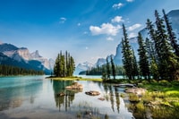 Jasper, Vallée de la Maligne Observation de la faune et visite en bateau - Hizvo