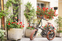 Cannes 2,5 ore E-bike Tour - Hizvo