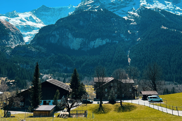 Privata turer till Grindelwald, Interlaken och Iseltwald