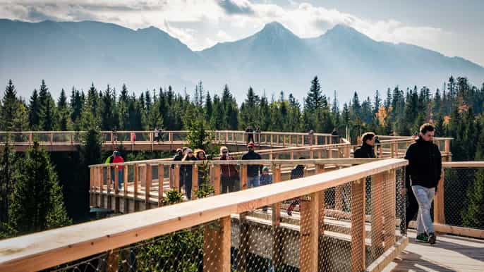 dunajec river gorge rafting and tree top walk from krakow