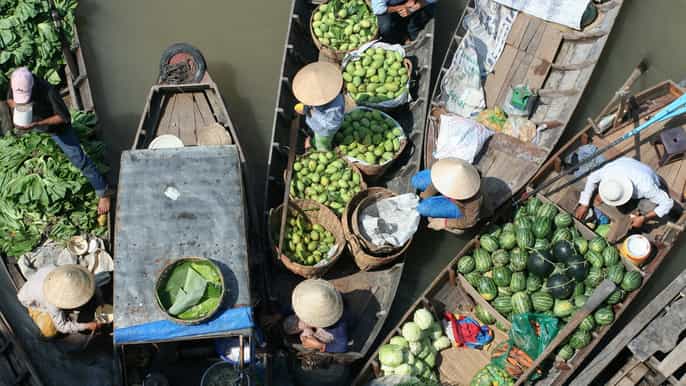 mekong day tour by car floating market cooking cycling