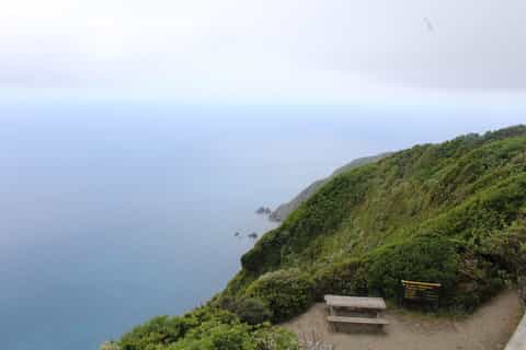 From Wellington: Kapiti Island Nature Reserve Day Trip